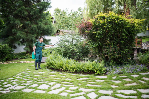 Best Rat Extermination Near Me  in Seattle, WA