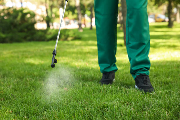 Best Best Pest Control Companies  in Seattle, WA
