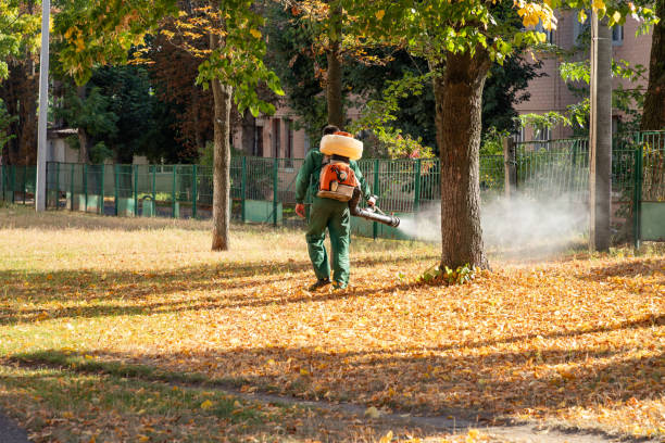 Best Rodent Control Near Me  in Seattle, WA
